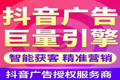 SEM代运营案例分析：精准投放策略解析